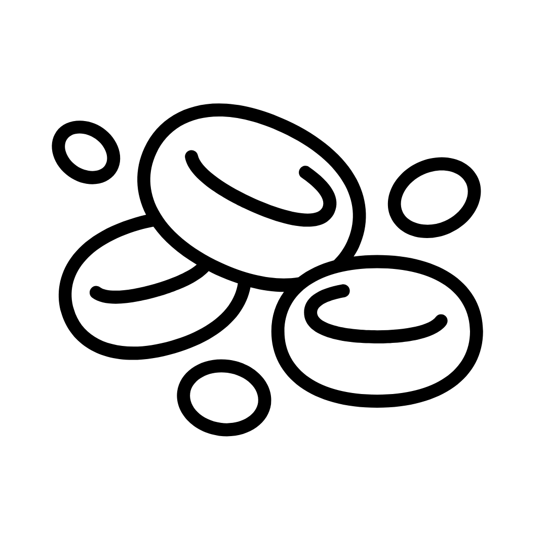 Ikonica 4