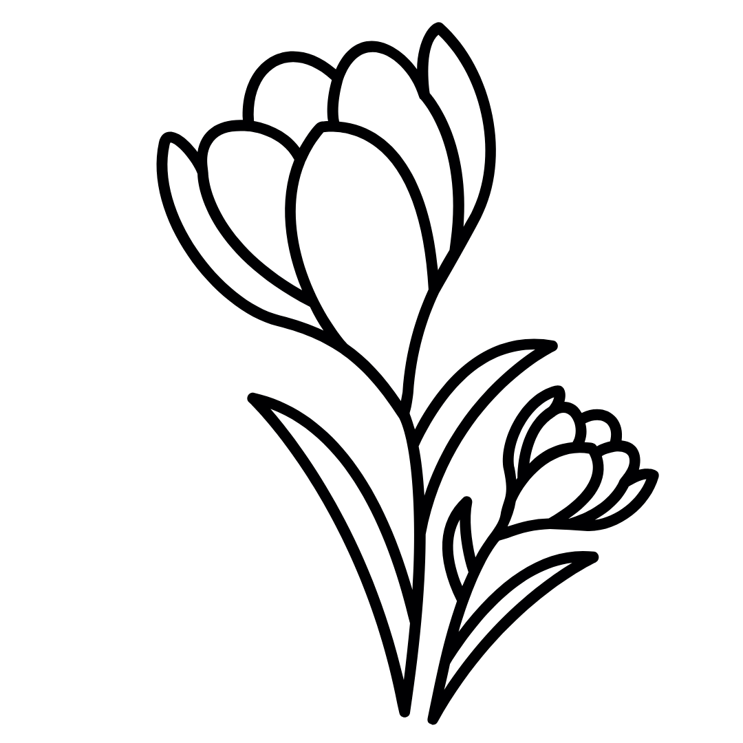 Ikonica 3