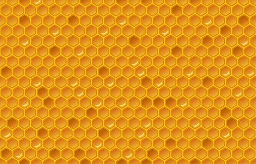 Propolis: Što je, Svojstva, Sastav i Doziranje | Hedera