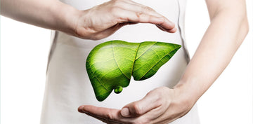 detox jetre