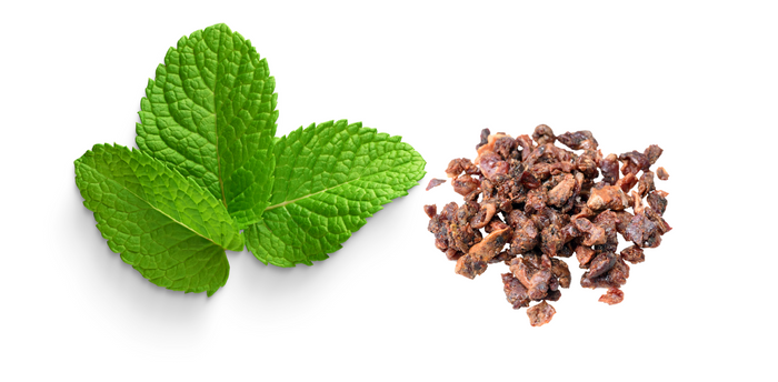 propolis menta
